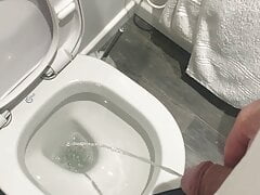 Pissing in the toilet on holiday