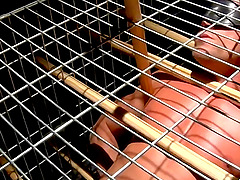 Caged Tyler Saint has a weight tied to his cock